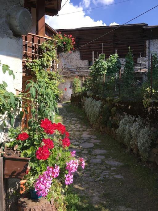 Casa Bernard Zortea Vanoi Cuore Verde Del Trentino Canal San Bovo Luaran gambar
